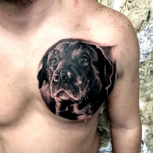 caine-portret-tatuaj caine portret tatuaj