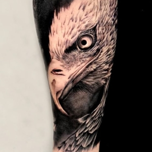 vultur tatuaj salon tatuaje vultur