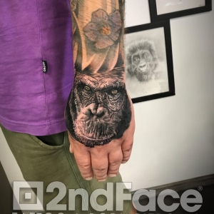 Tatuaj Maimuta Tatuaj Maimuta